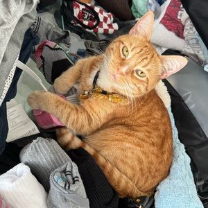 Meet your Posher, Steven